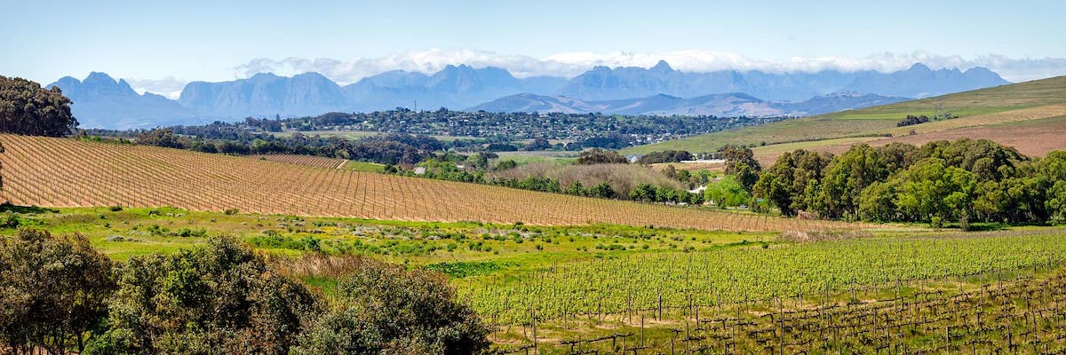 Route Des Vins Du Cap Explorer Appr Cier Afrique Du Sud D Couverte