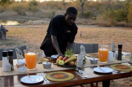Déjeuner dans la Savane avec Kambaku Safari lodge et Afrique du sud Decouverte