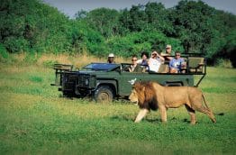 Safari en 4x4 ouvert en Afrique du Sud au Kruger