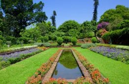 Les jardins botaniques de Durban en Afrique du sud