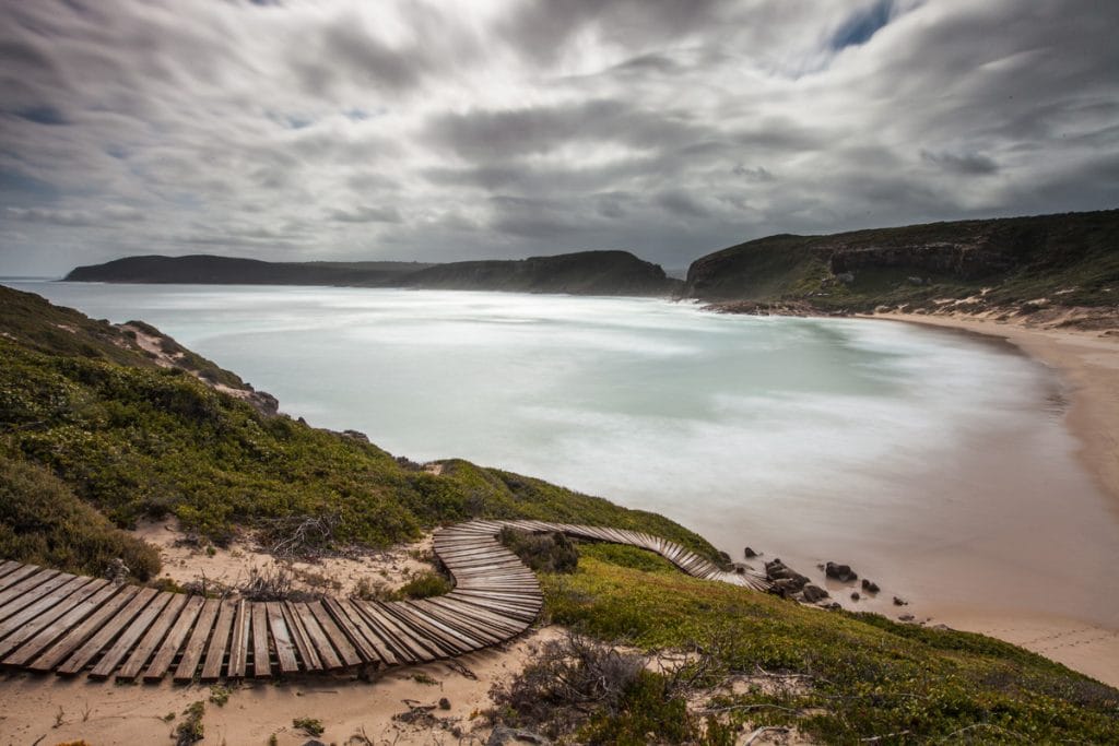 La Réserve Naturelle De Robberg | Afrique Du Sud Découverte