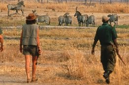 marcher-3-safari-afrique-du-sud-decouverte