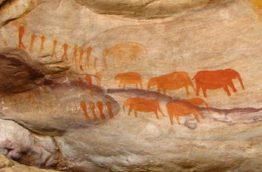 grottes-peintures-rupestres-san-afrique-du-sud-decouverte
