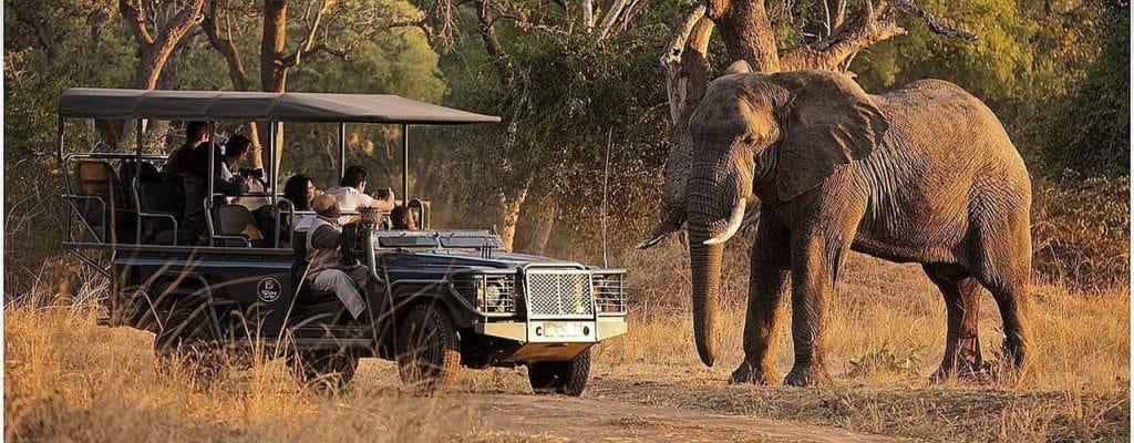 safari-elephant-afrique-du-sud-decouverte