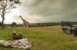 safari-preparation-afrique-du-sud-decouverte
