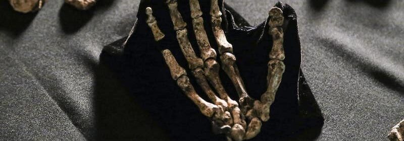 unesco-fossiles-humains-afrique-du-sud-decouverte