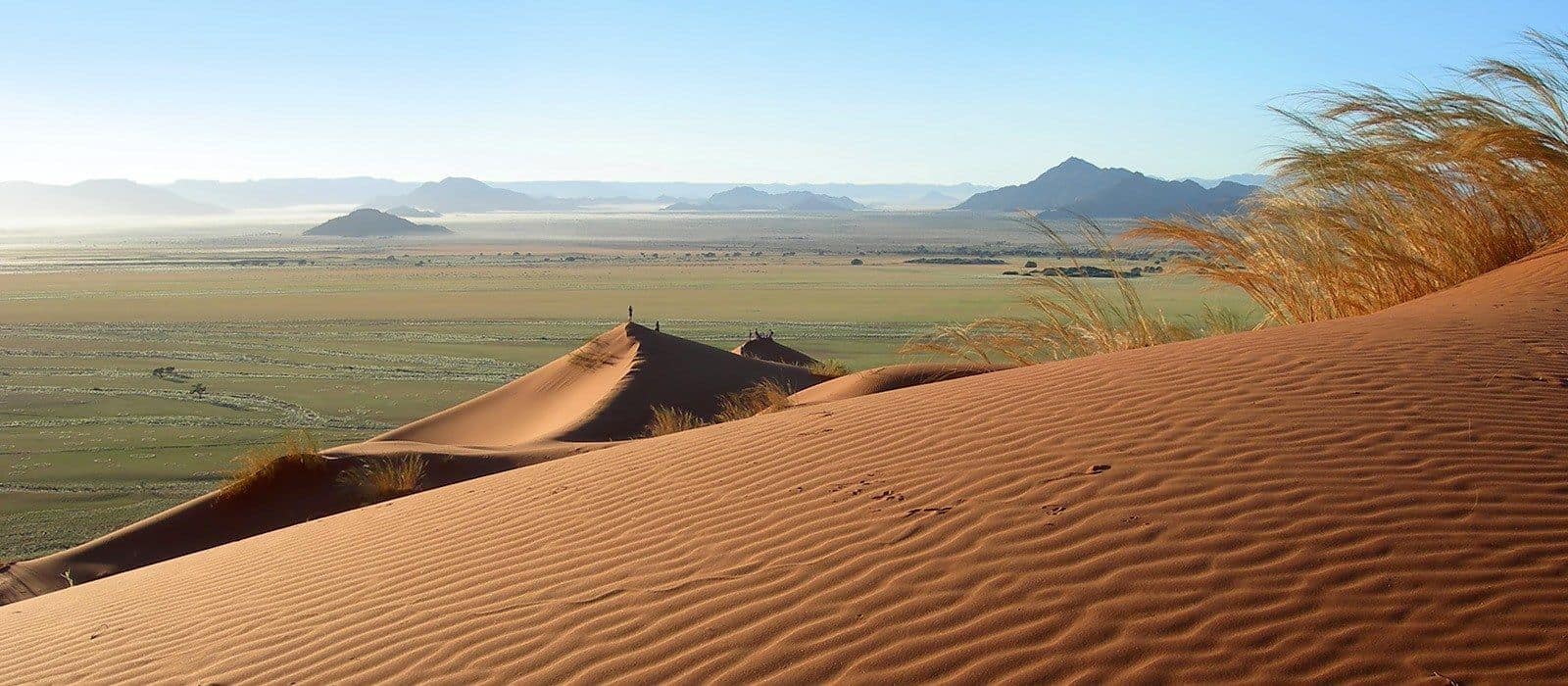 Le désert magique du Kalahari  Afrique du Sud Découverte