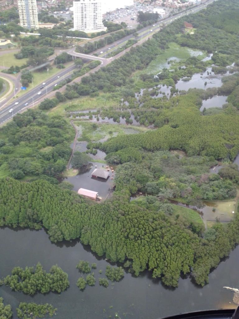 beachwood-mangroves-nature-reserve-vue-aerienne-afrique-du-sud-decouverte