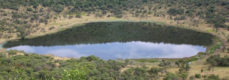 gauteng-reserve-naturelle-rietvlei-afrique-du-sud-decouverte