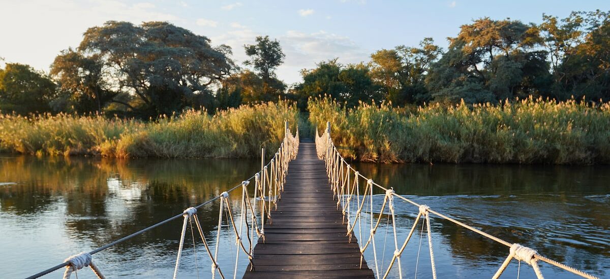 Pont suspendu Okavango