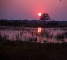 botswana-paysage-coucher-soleil