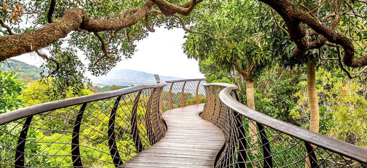paysage-Jardins-botaniques-kirstenbosch-pont