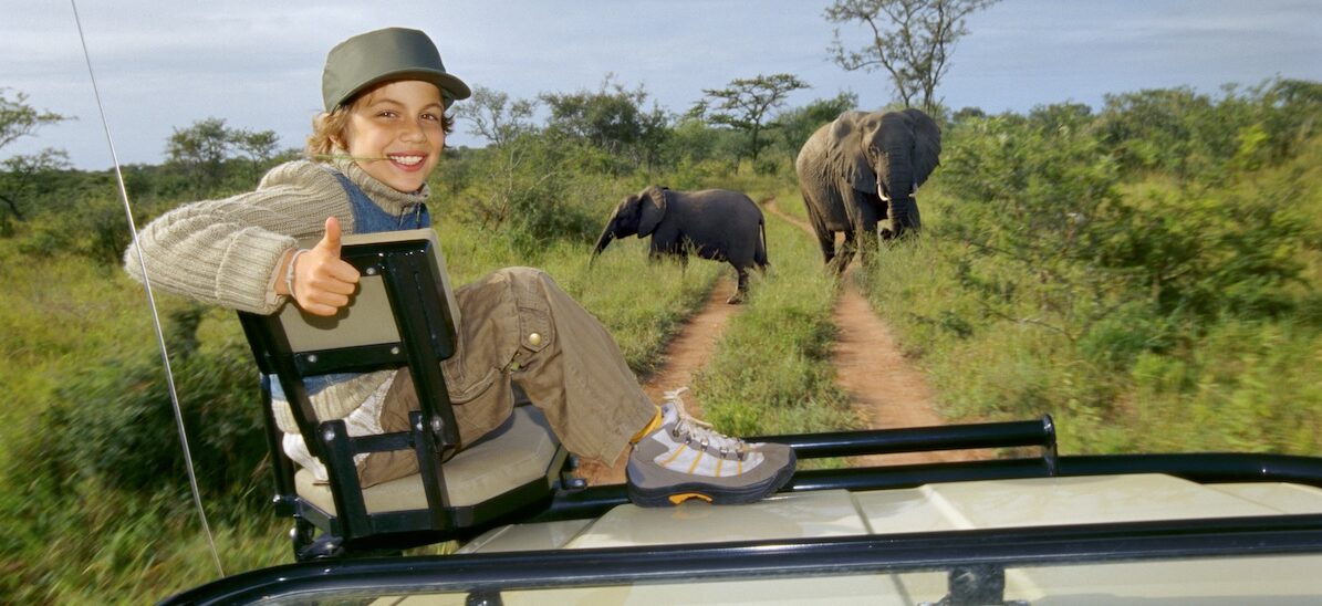 Adolescent-4x4-safaris-elephant-arriere-plan.jpg