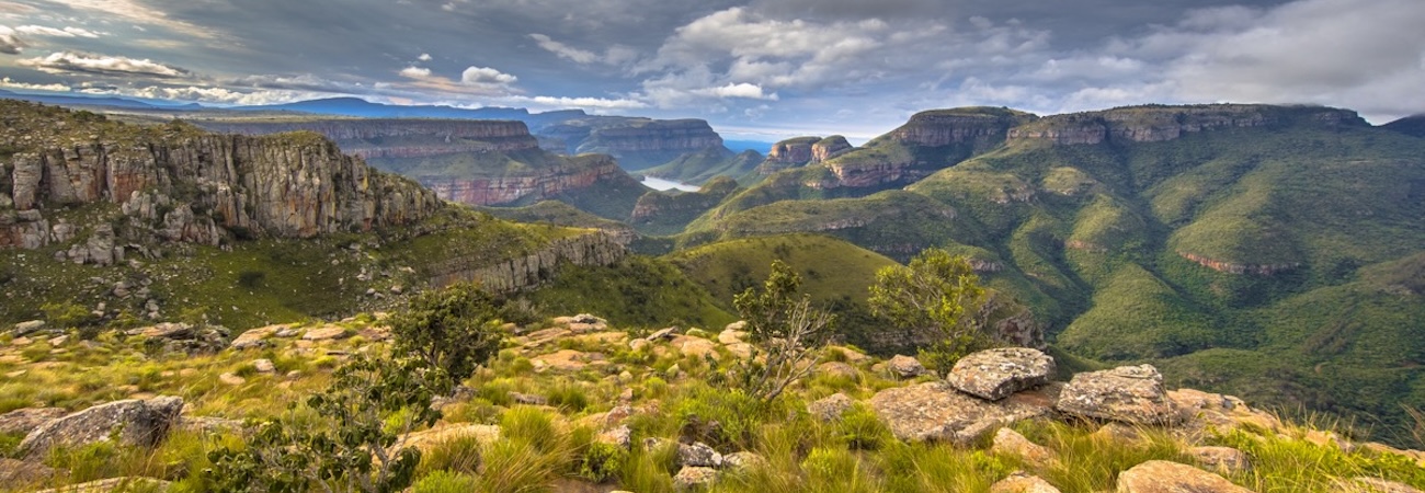 Image d'entête de présentation de circuit